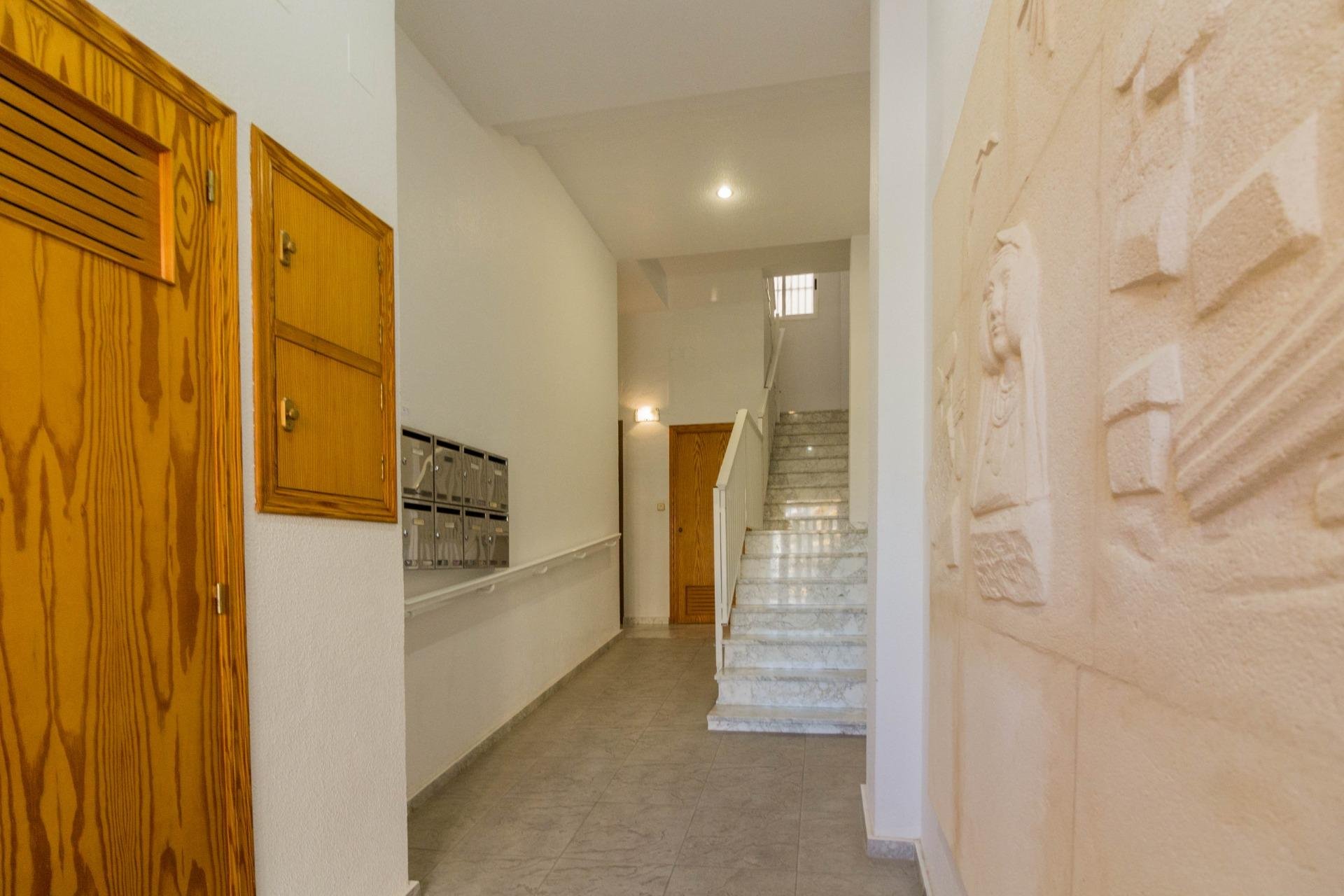 Alquiler a largo plazo - Apartamento - Guardamar del Segura - Avenidad cervante