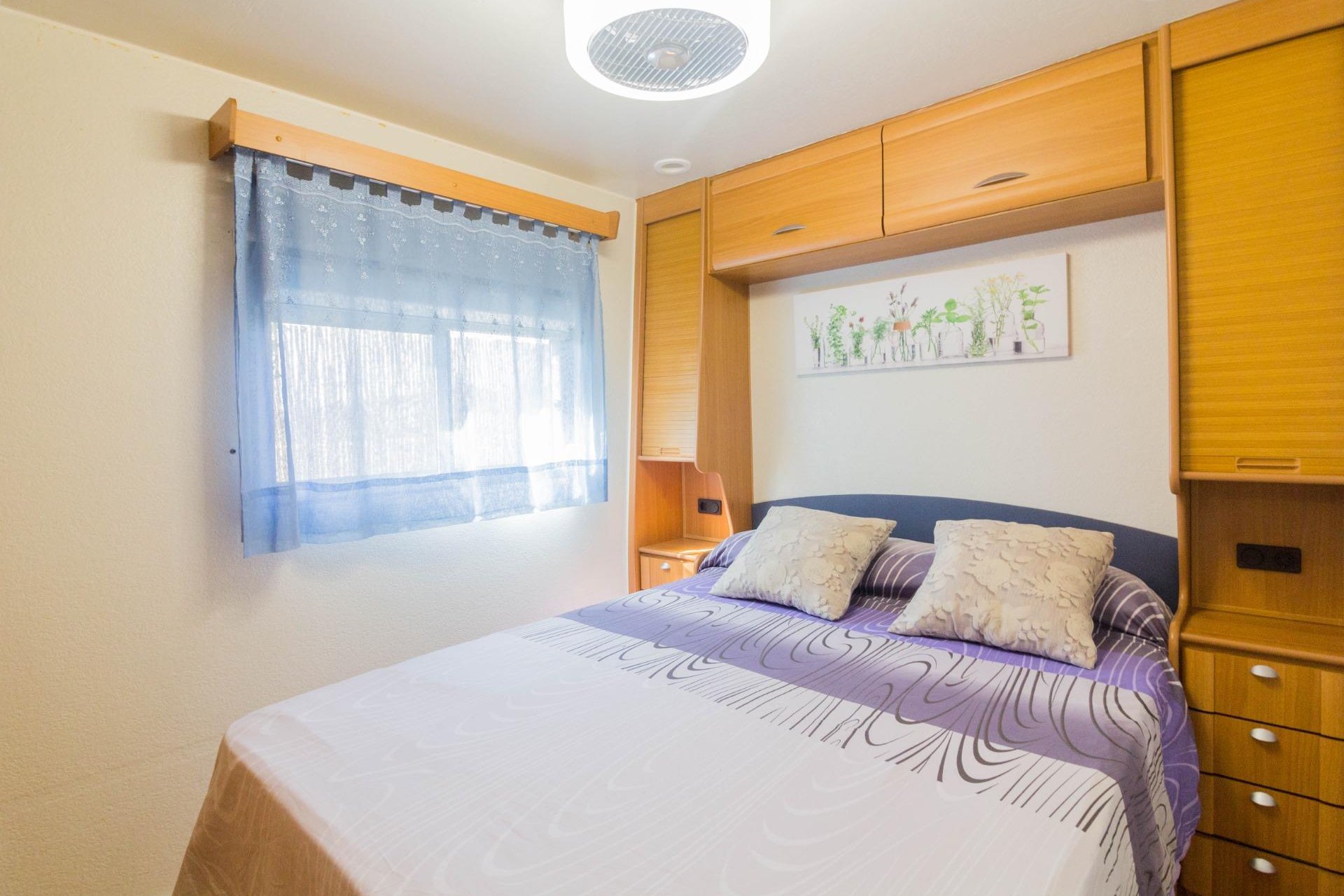 Alquiler a largo plazo - Casa - Dolores - Comunidad valenciana