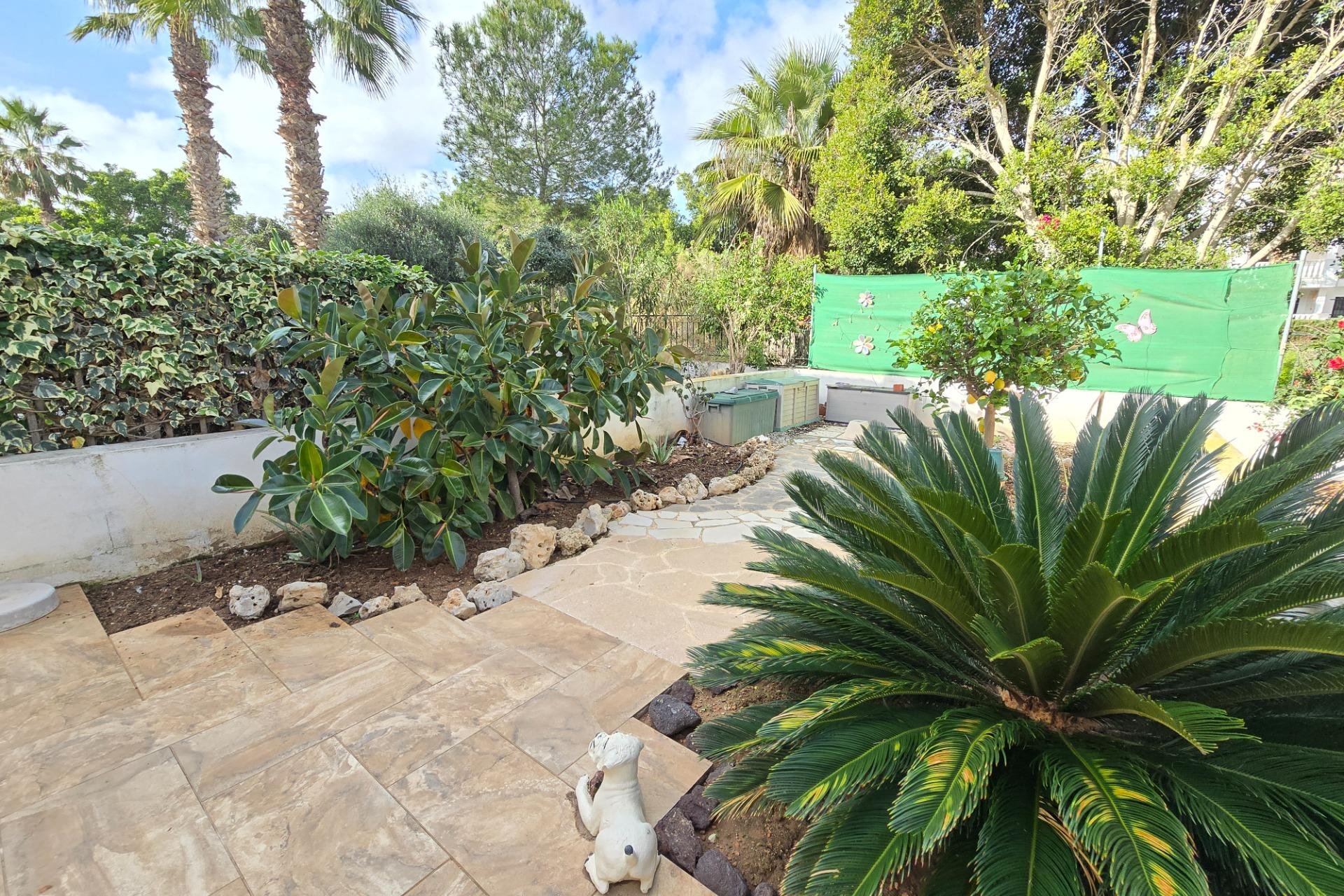 Alquiler a largo plazo - Duplex - Orihuela Costa - Villamartín