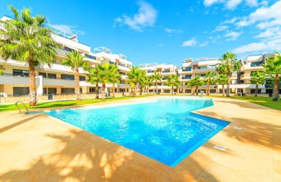 Apartamento - Reventa - Orihuela Costa - Las Mimosas