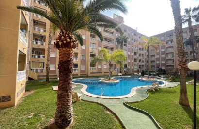 Apartamento - Revente - Torrevieja - Centro