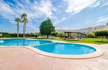 Bungalow Planta Baja - Revente - Torrevieja - Parque de las Naciones
