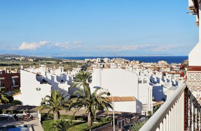 Estudio - Reventa - Torrevieja - Torreblanca