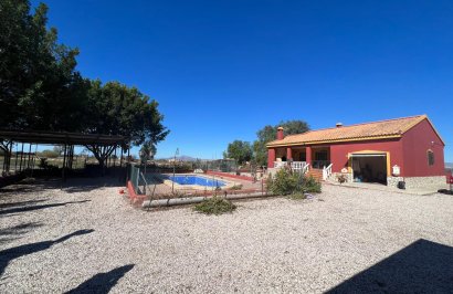 Finca rústica - Resale - Elche - Elche