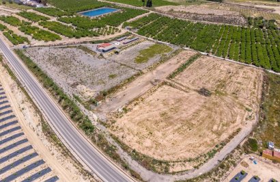 Finca rústica - Revente - Montesinos - LOS MONTESINOS