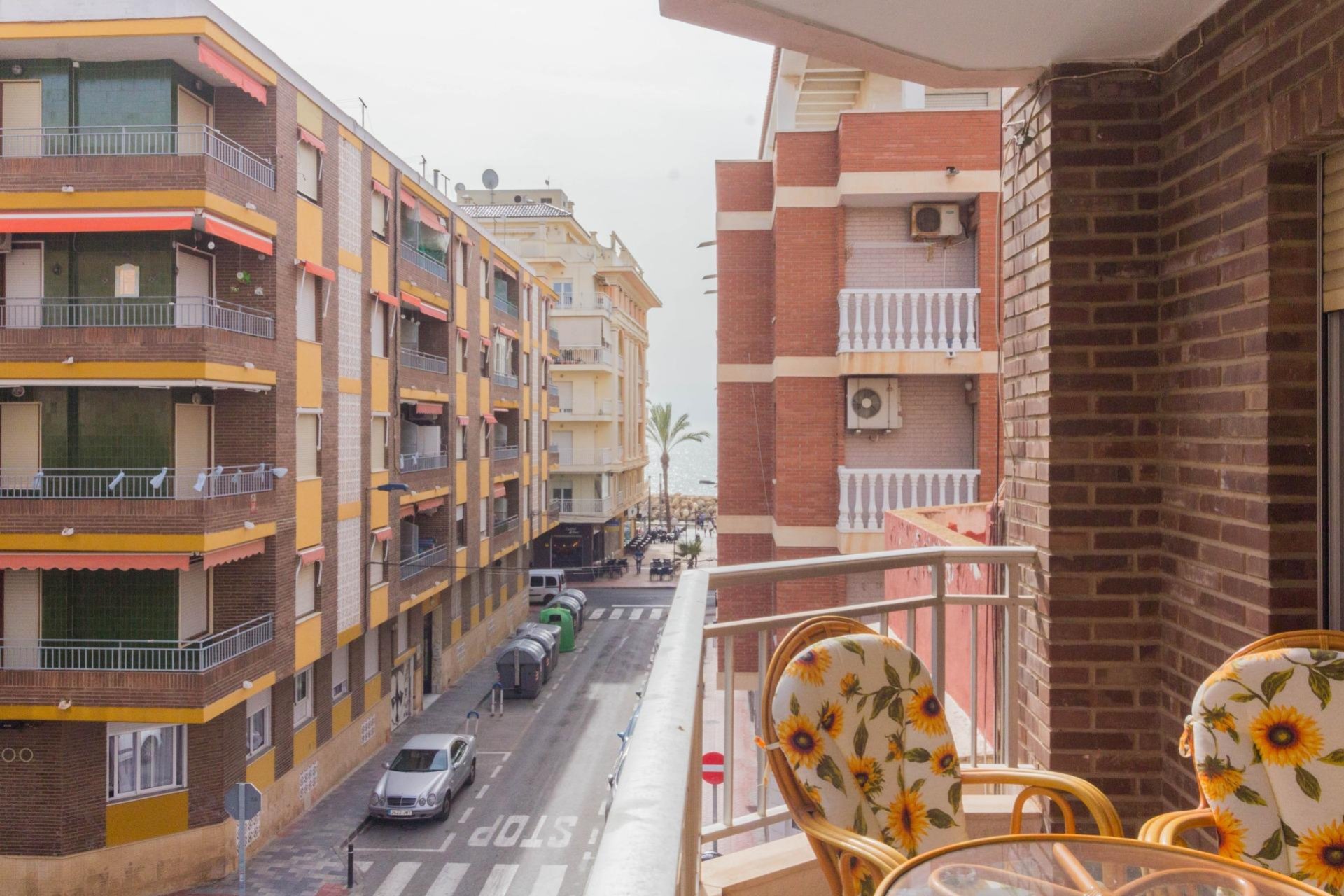 Location à long terme - Piso - Torrevieja - Paseo maritimo