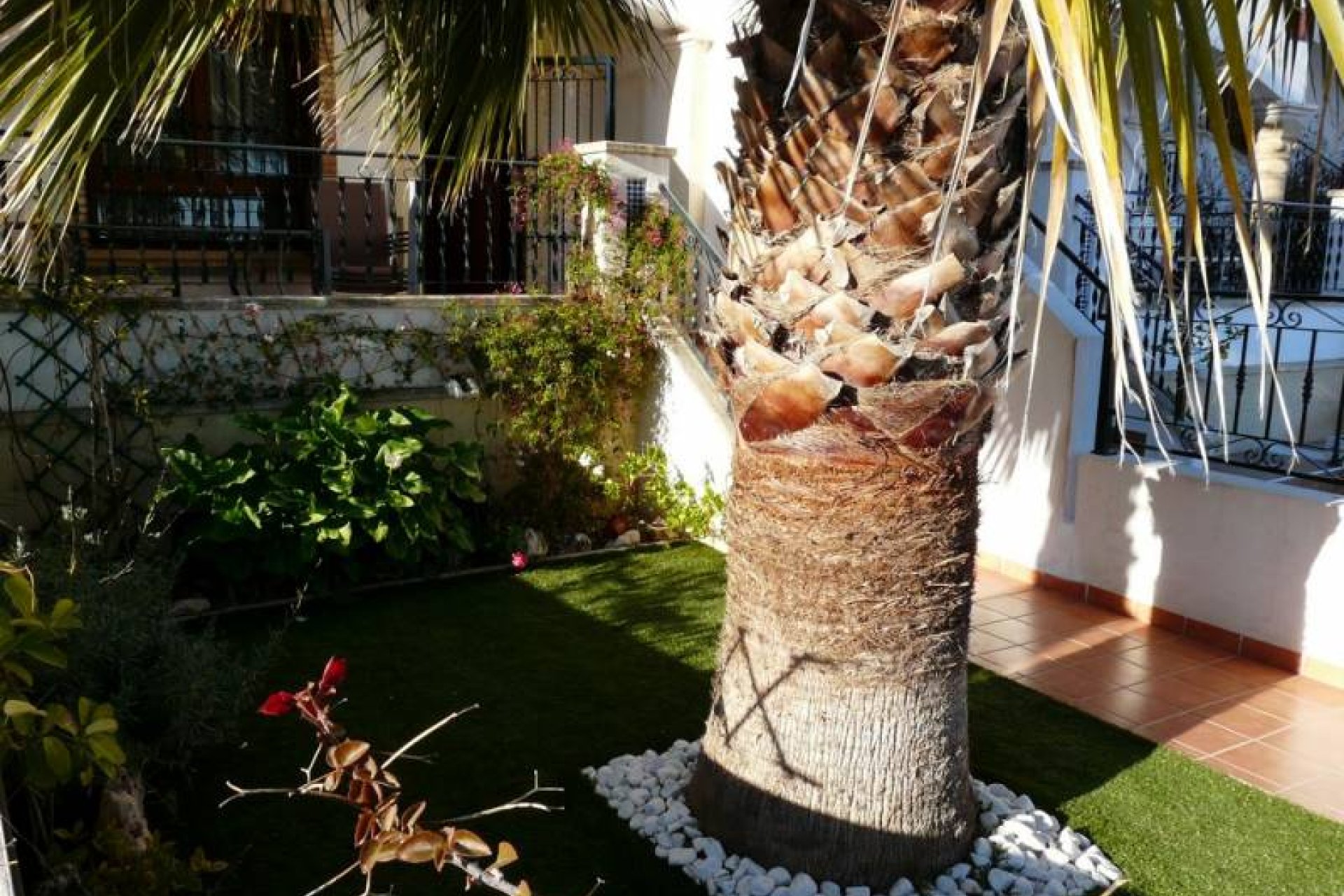 Long Term Rental - Duplex - Orihuela Costa - Villamartín