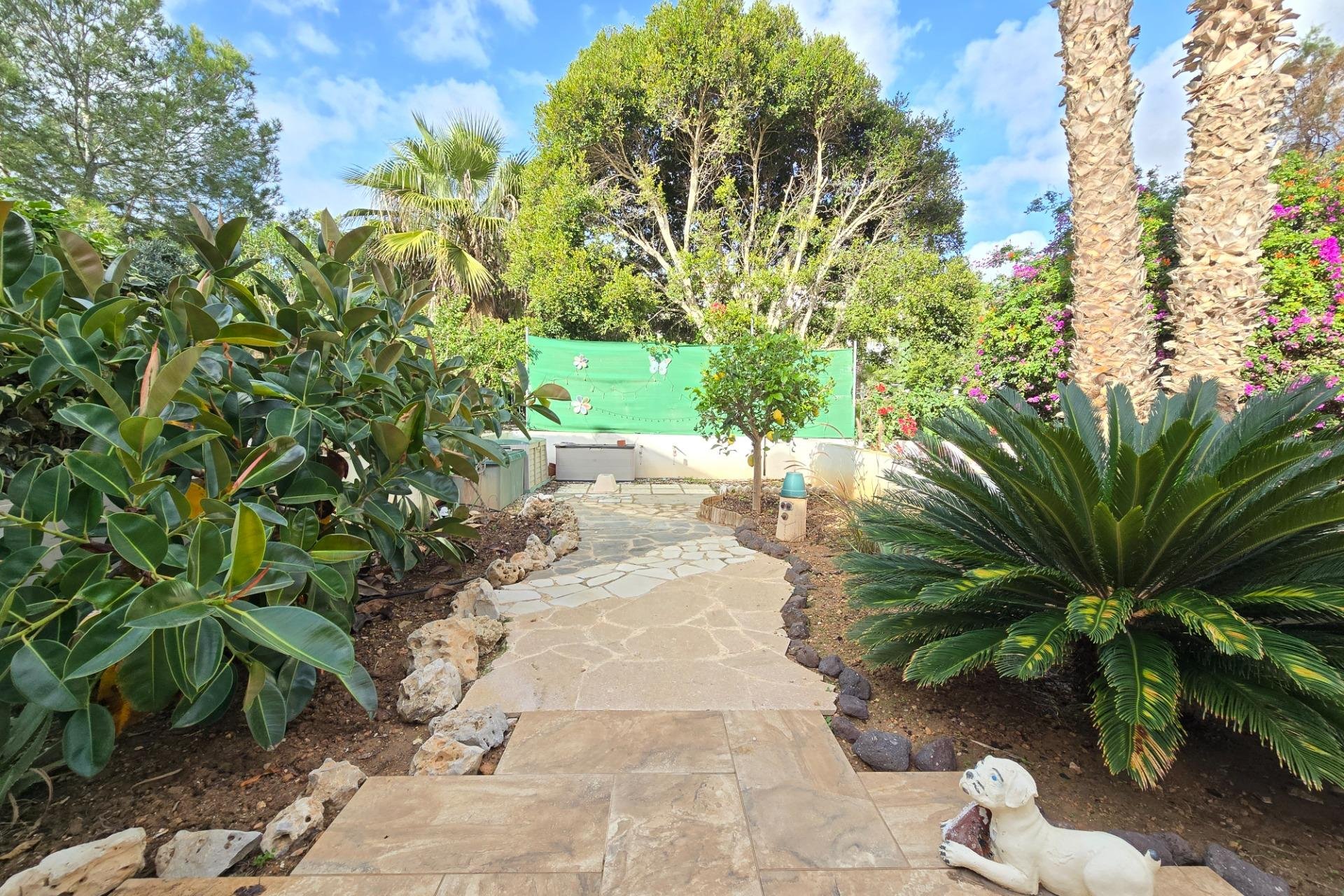 Long Term Rental - Duplex - Orihuela Costa - Villamartín