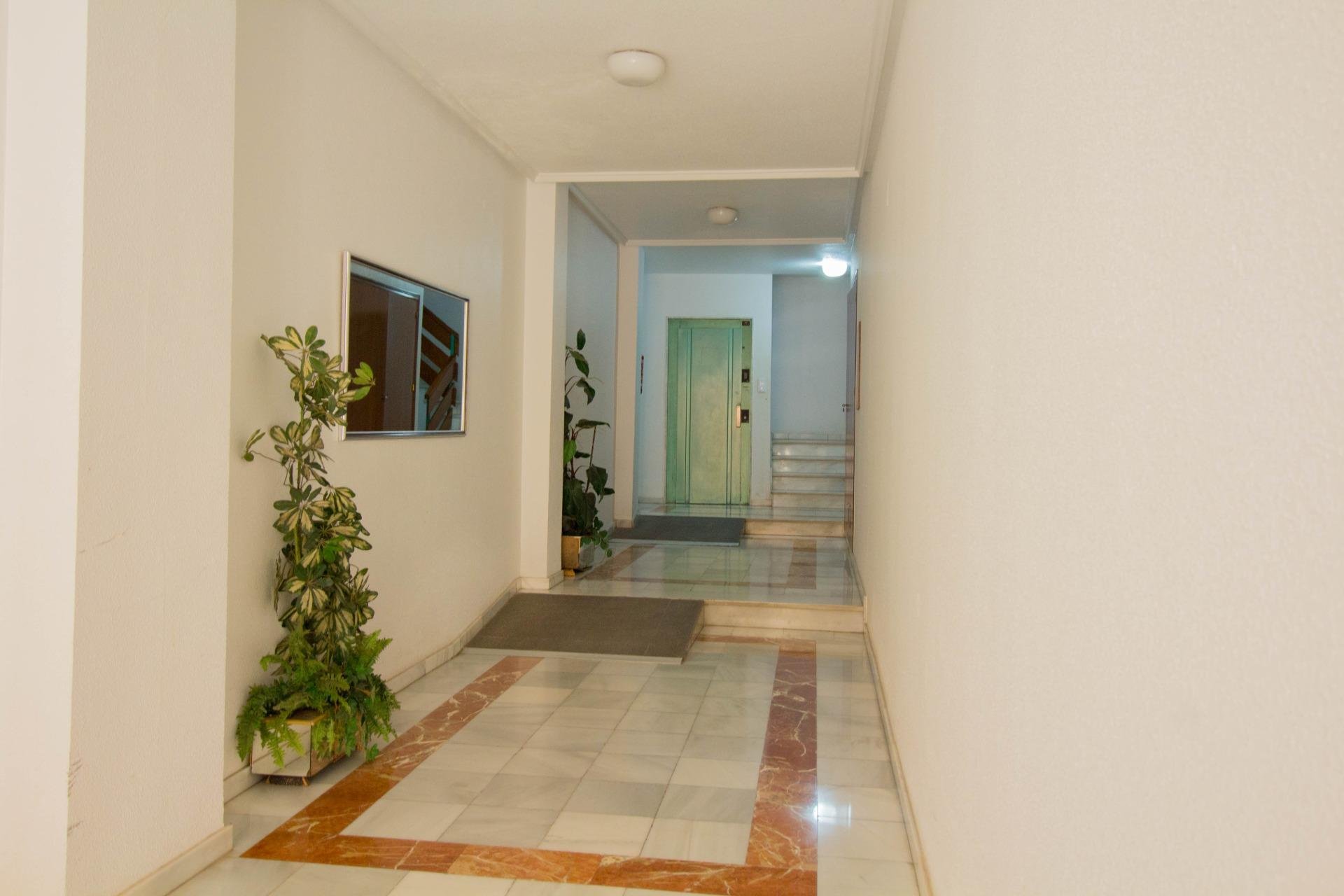 Long Term Rental - Local comercial - Orihuela - Zona Centro