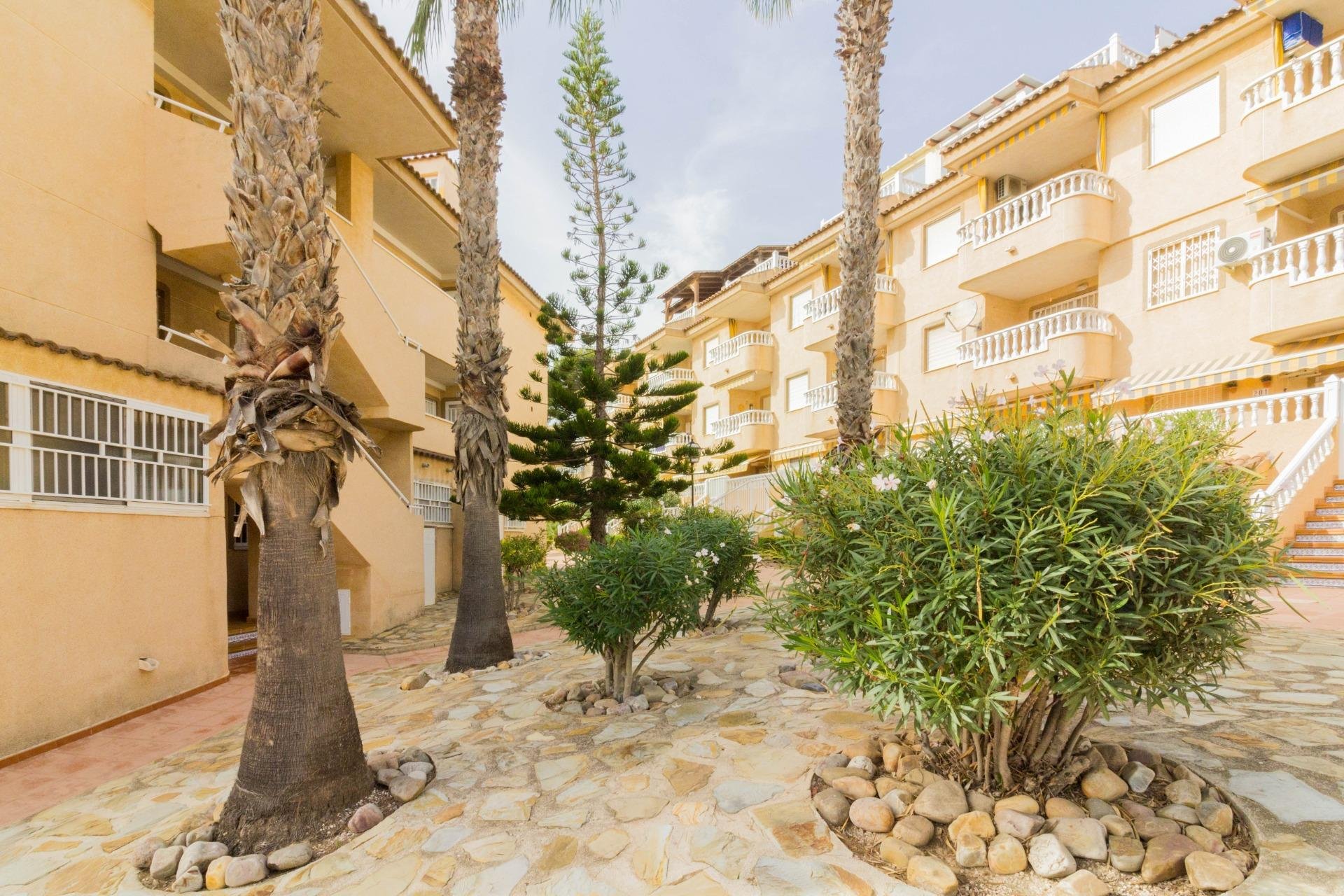 Resale - Apartamento - Guardamar del Segura - Pueblo