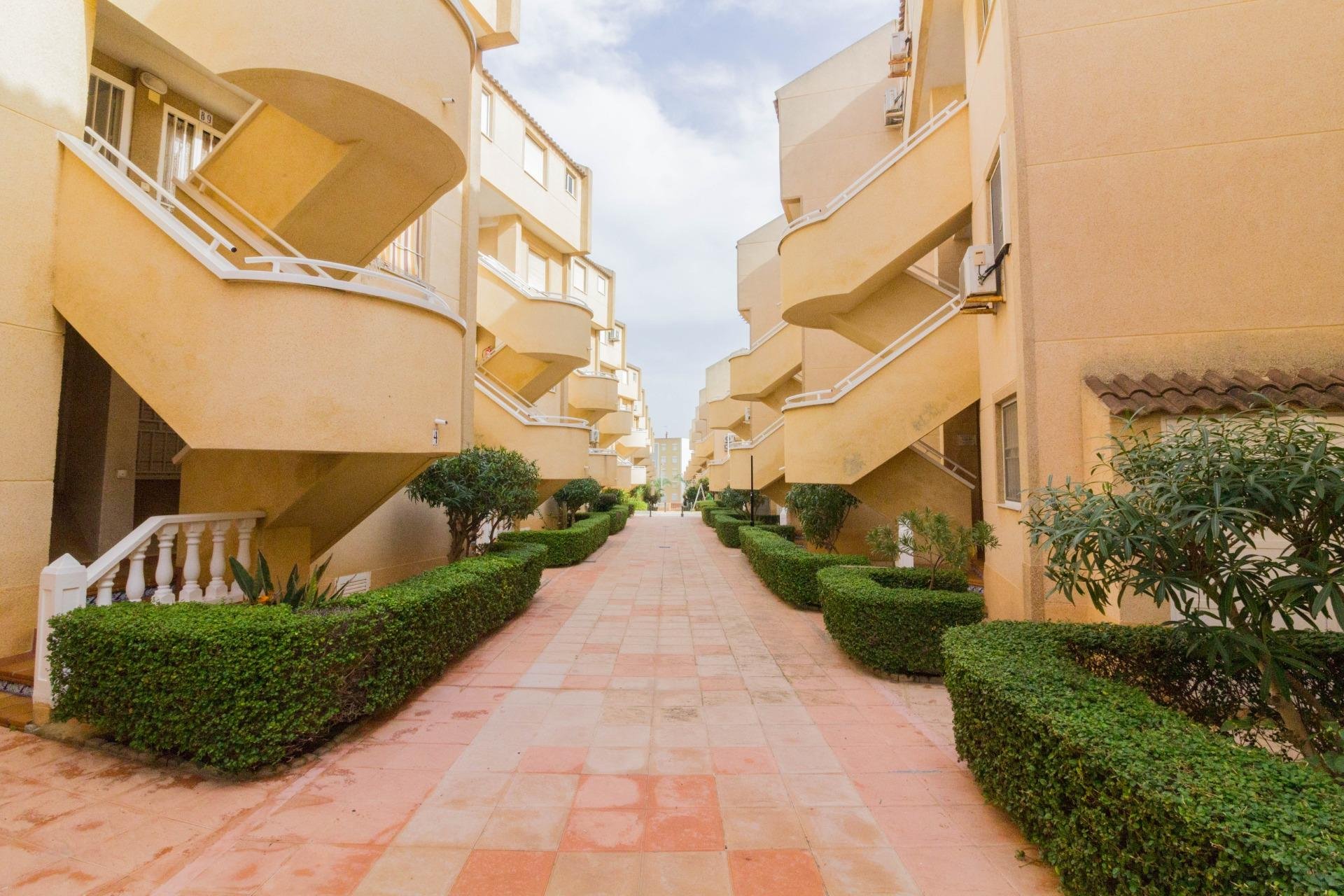 Resale - Apartamento - Guardamar del Segura - Pueblo