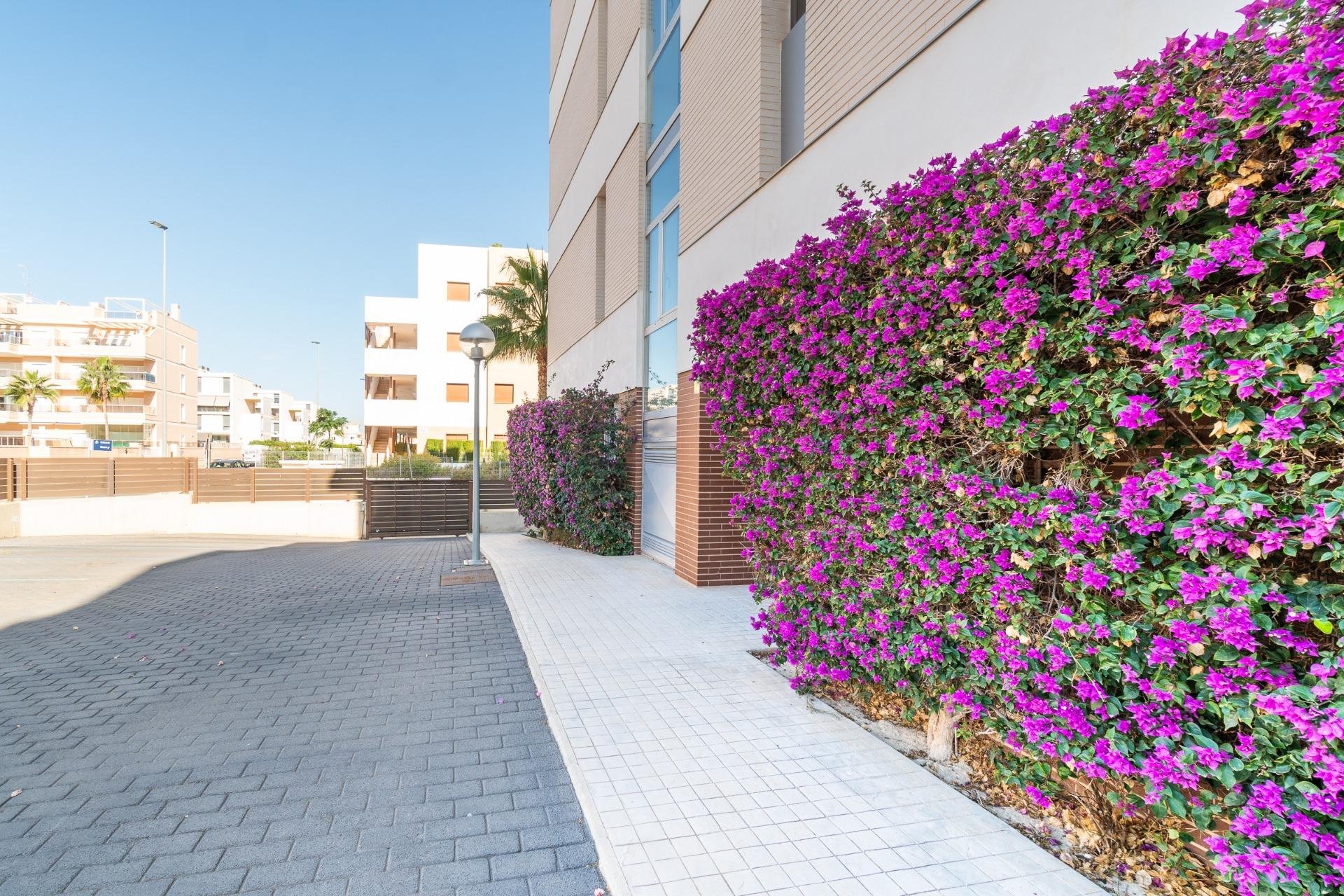 Resale - Apartamento - Orihuela Costa - Los Dolses