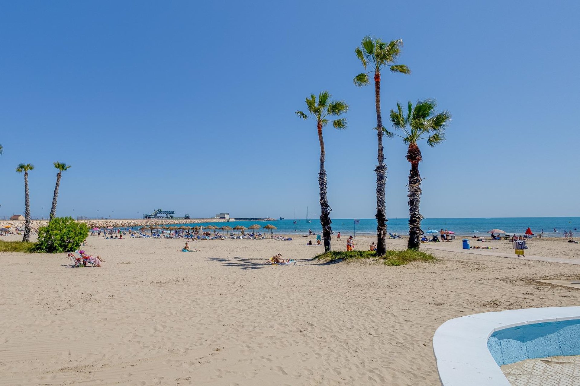 Resale - Apartamento - Torrevieja - Acequion