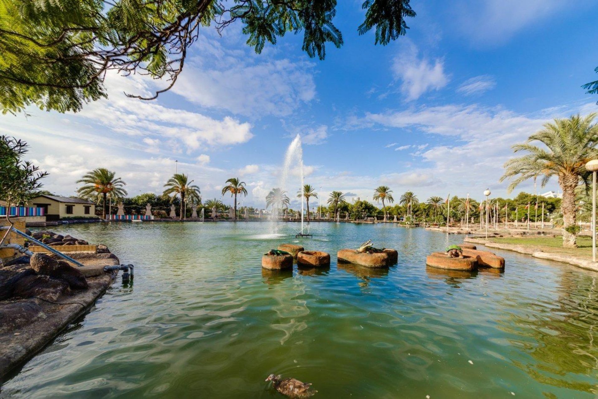 Resale - Apartamento - Torrevieja - Centro