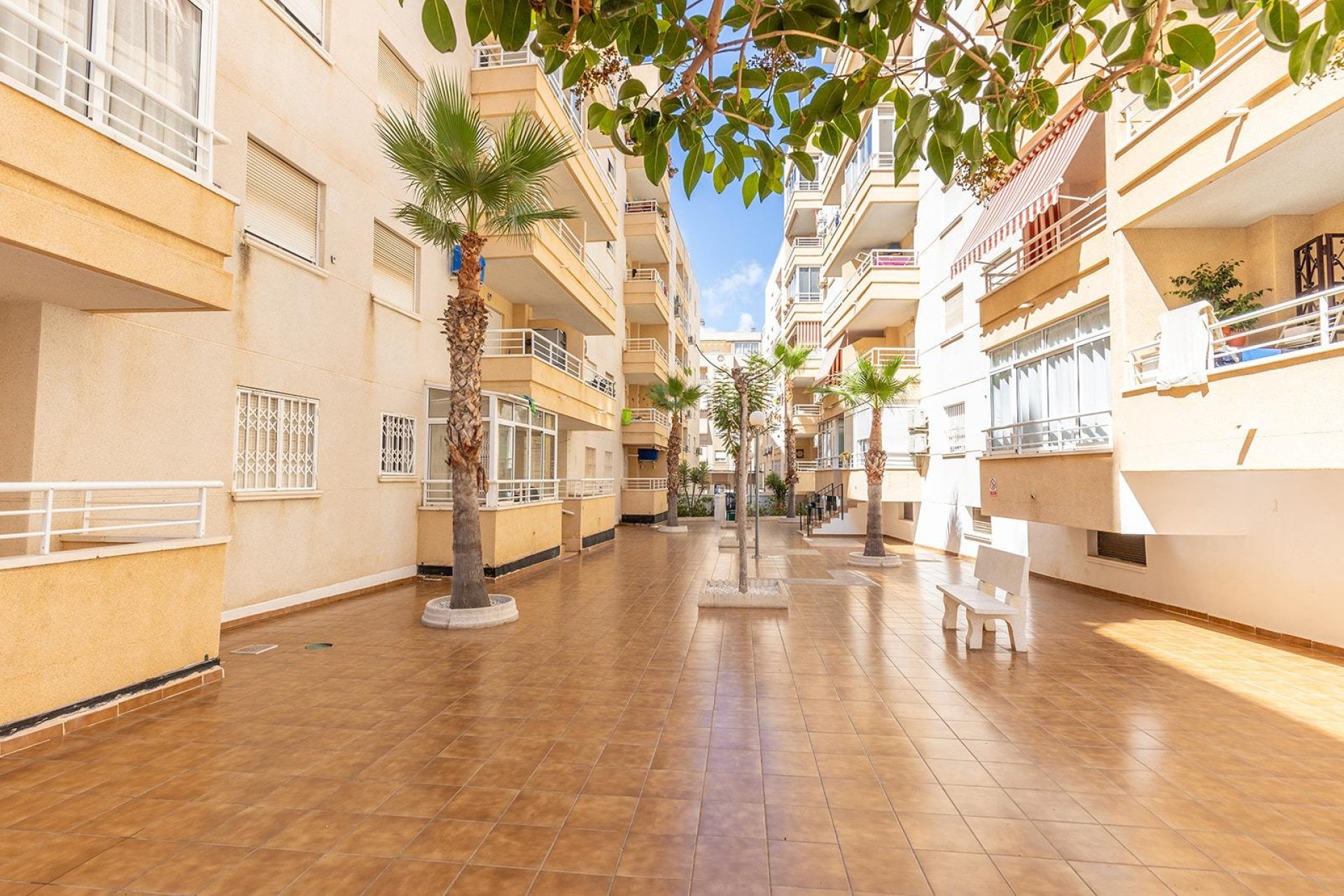 Resale - Apartamento - Torrevieja - Estacion de autobuses