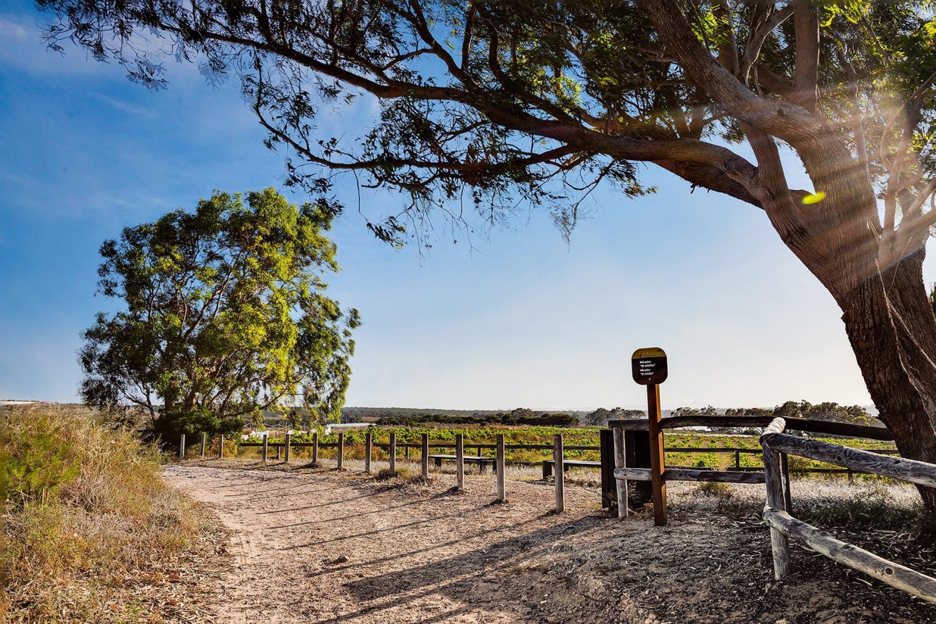 Resale - Apartamento - Torrevieja - Habaneras