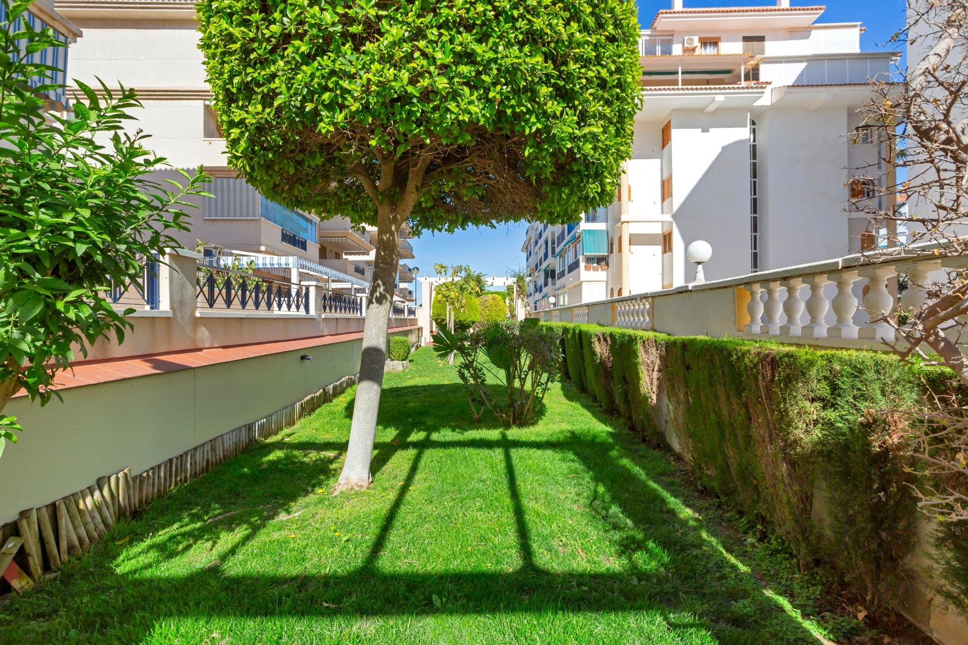 Resale - Apartamento - Torrevieja - La Mata