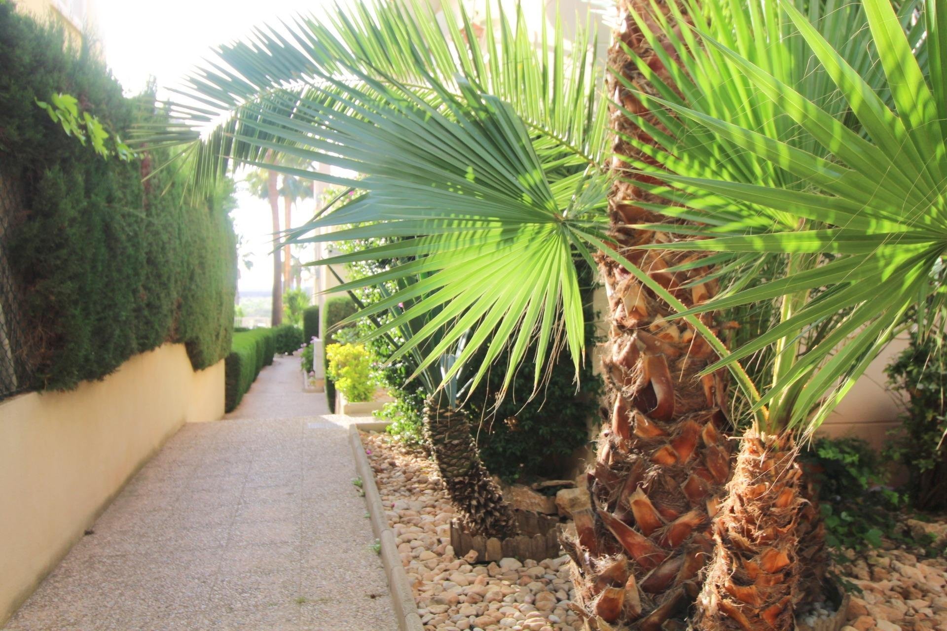 Resale - Apartamento - Torrevieja - La veleta