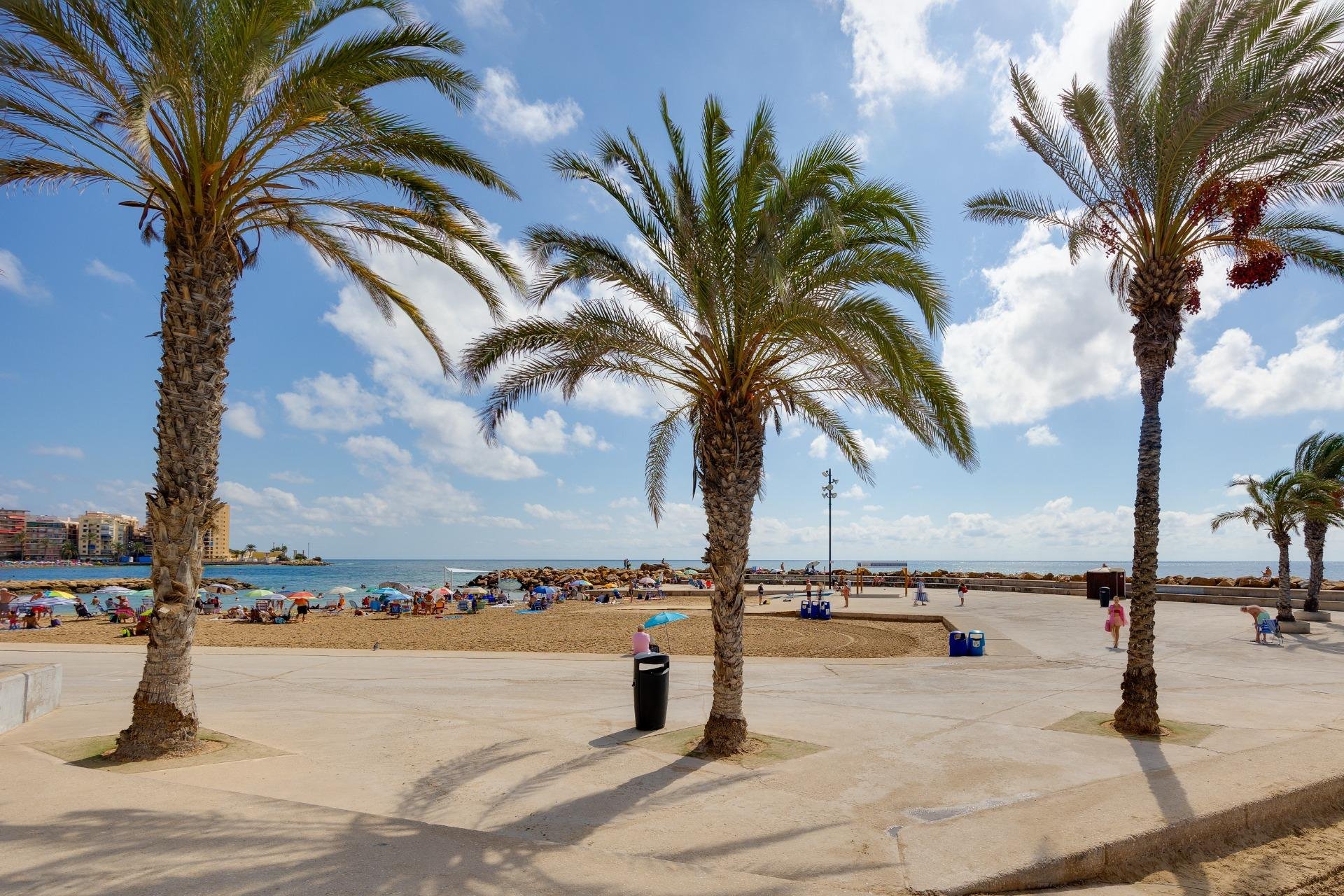 Resale - Apartamento - Torrevieja - Las Piscinas Naturales