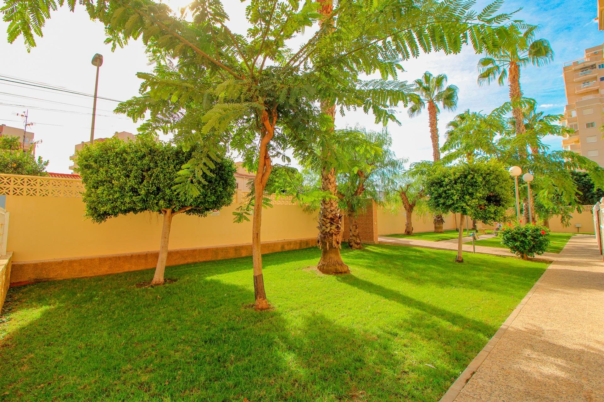 Resale - Apartamento - Torrevieja - Nueva Torrevieja