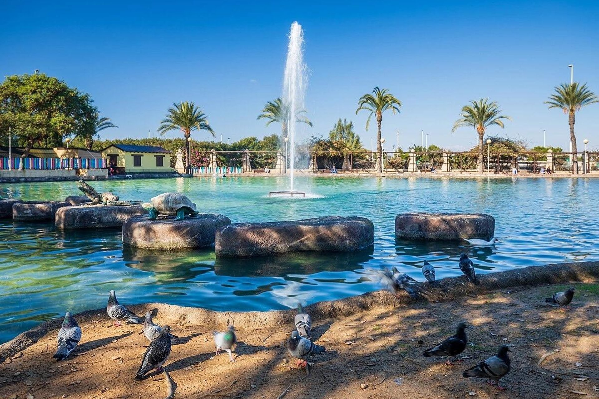 Resale - Apartamento - Torrevieja - Parque las naciones