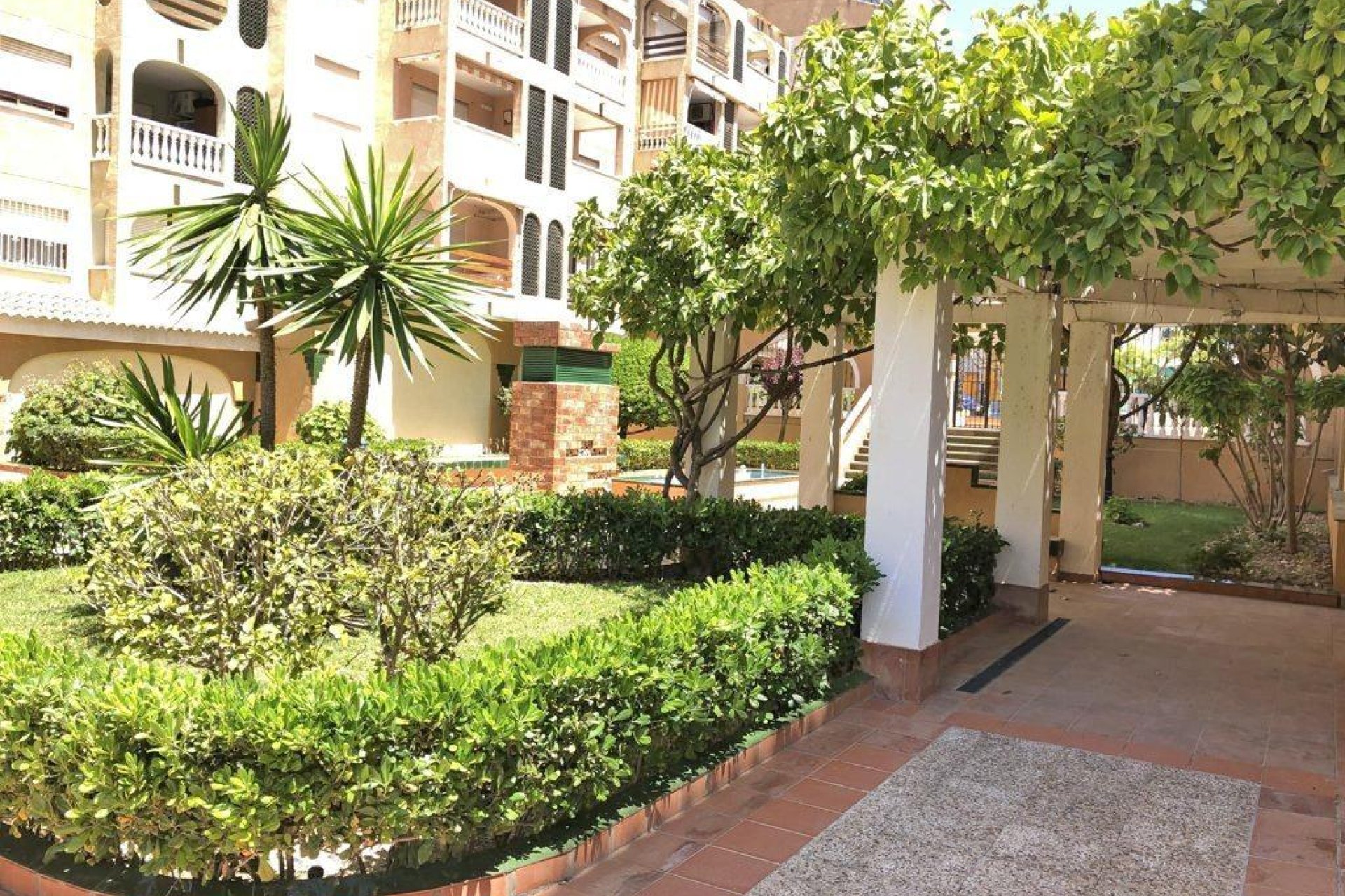 Resale - Apartamento - Torrevieja - Parque las naciones