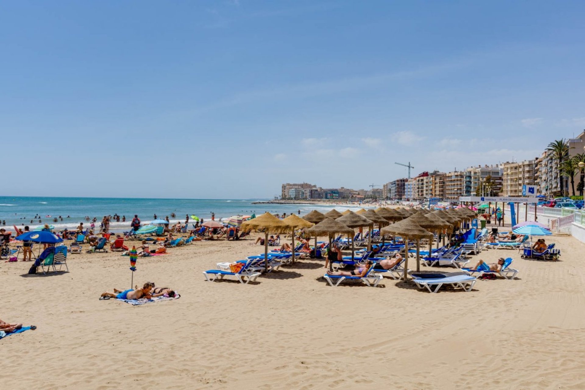 Resale - Apartamento - Torrevieja - Playa de los Locos