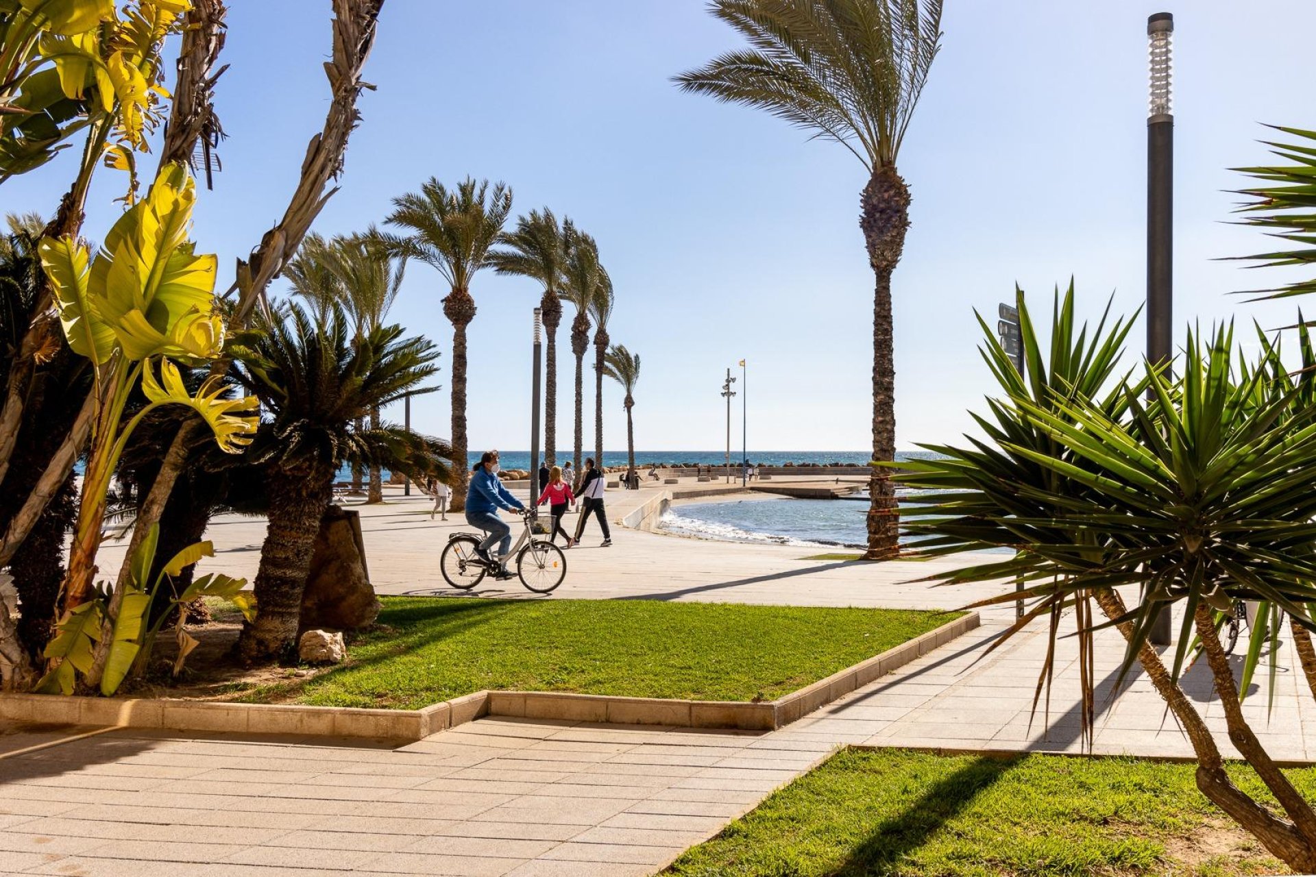 Resale - Apartamento - Torrevieja - Playa del Cura