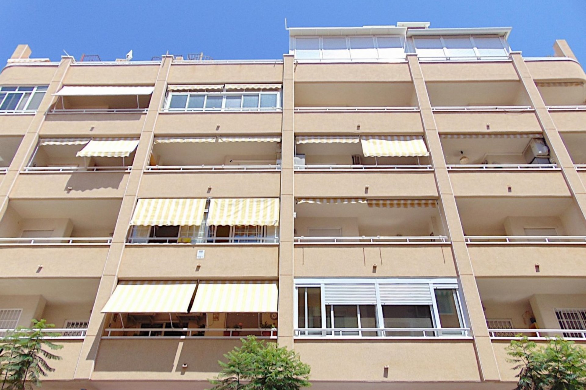 Resale - Apartamento - Torrevieja - Playa del Cura