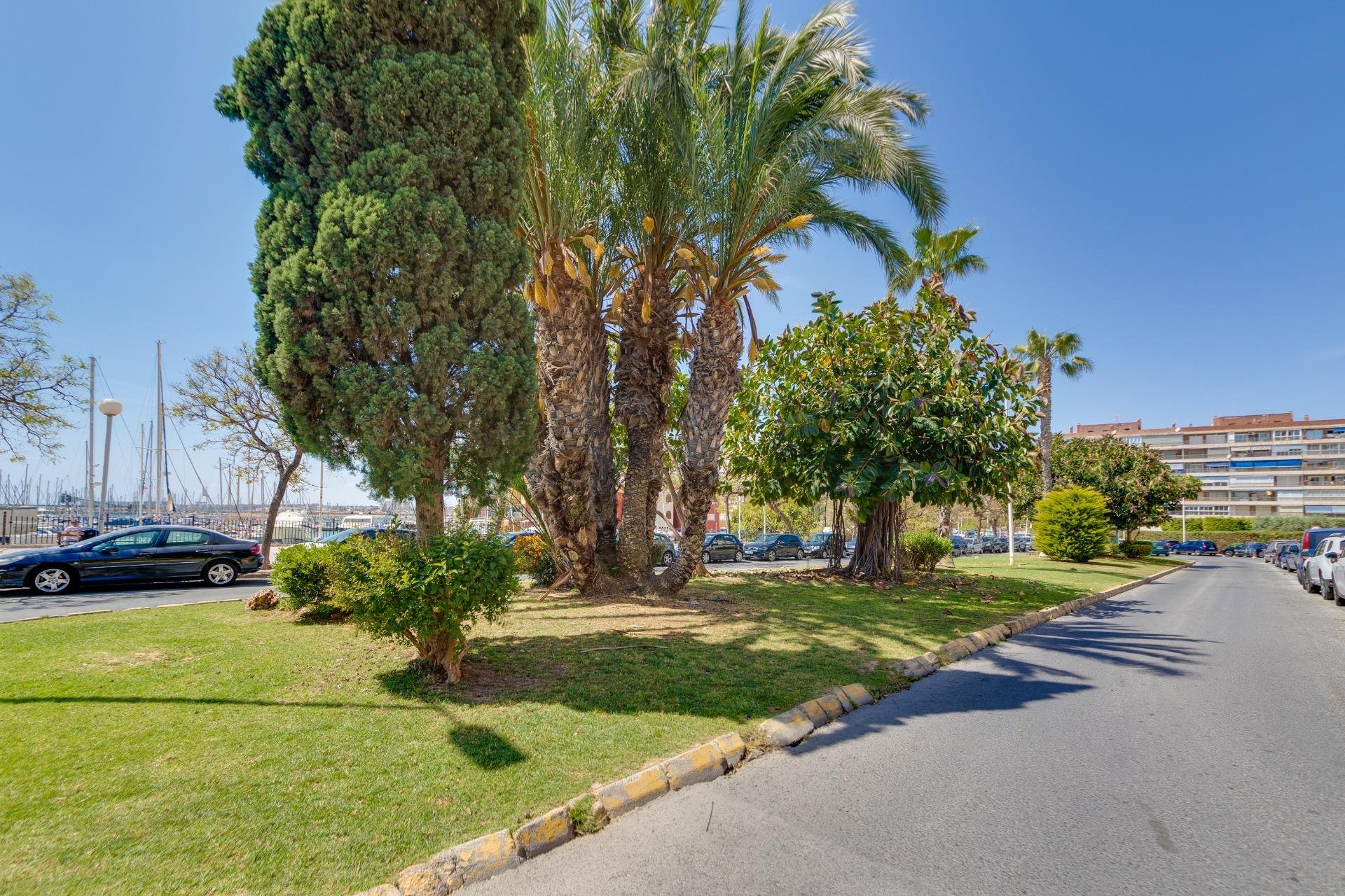 Resale - Apartamento - Torrevieja - Puerto