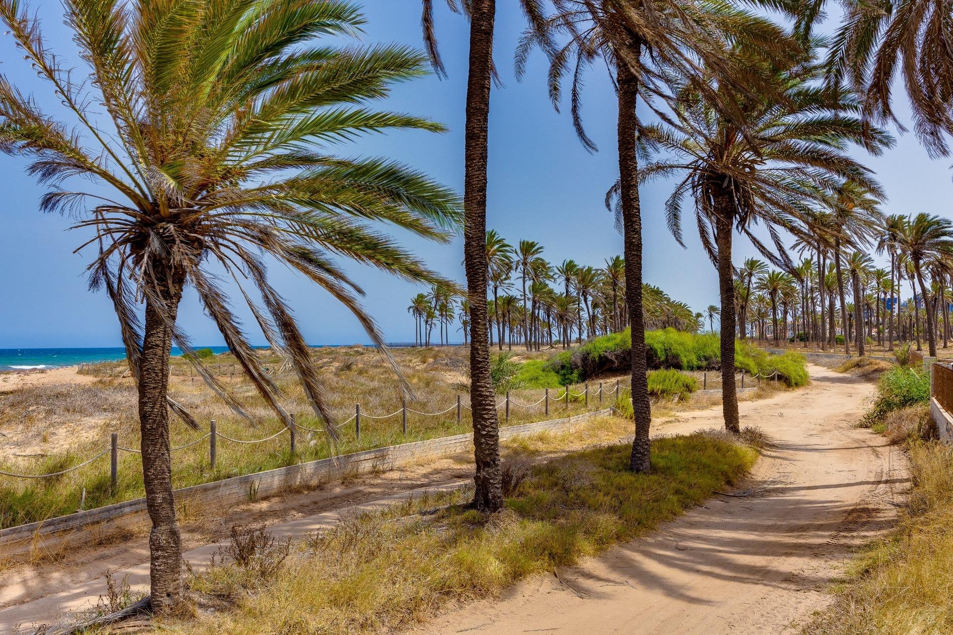 Resale - Bungalow Planta Baja - Torrevieja - Mar azul