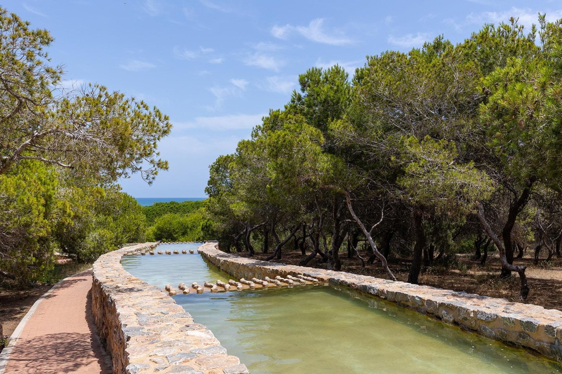 Resale - Bungalow - Torrevieja - La Mata