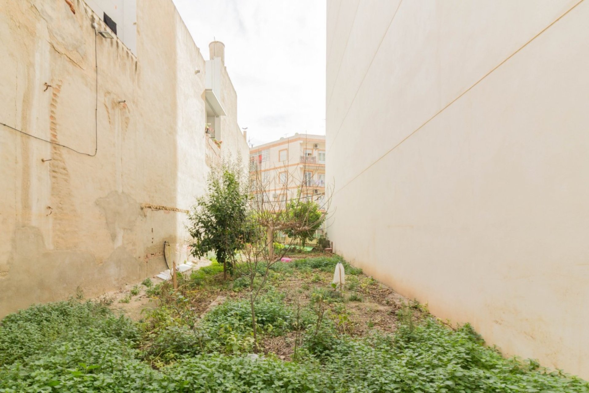 Resale - Casa con terreno - Callosa de Segura - C- FILARMONICA