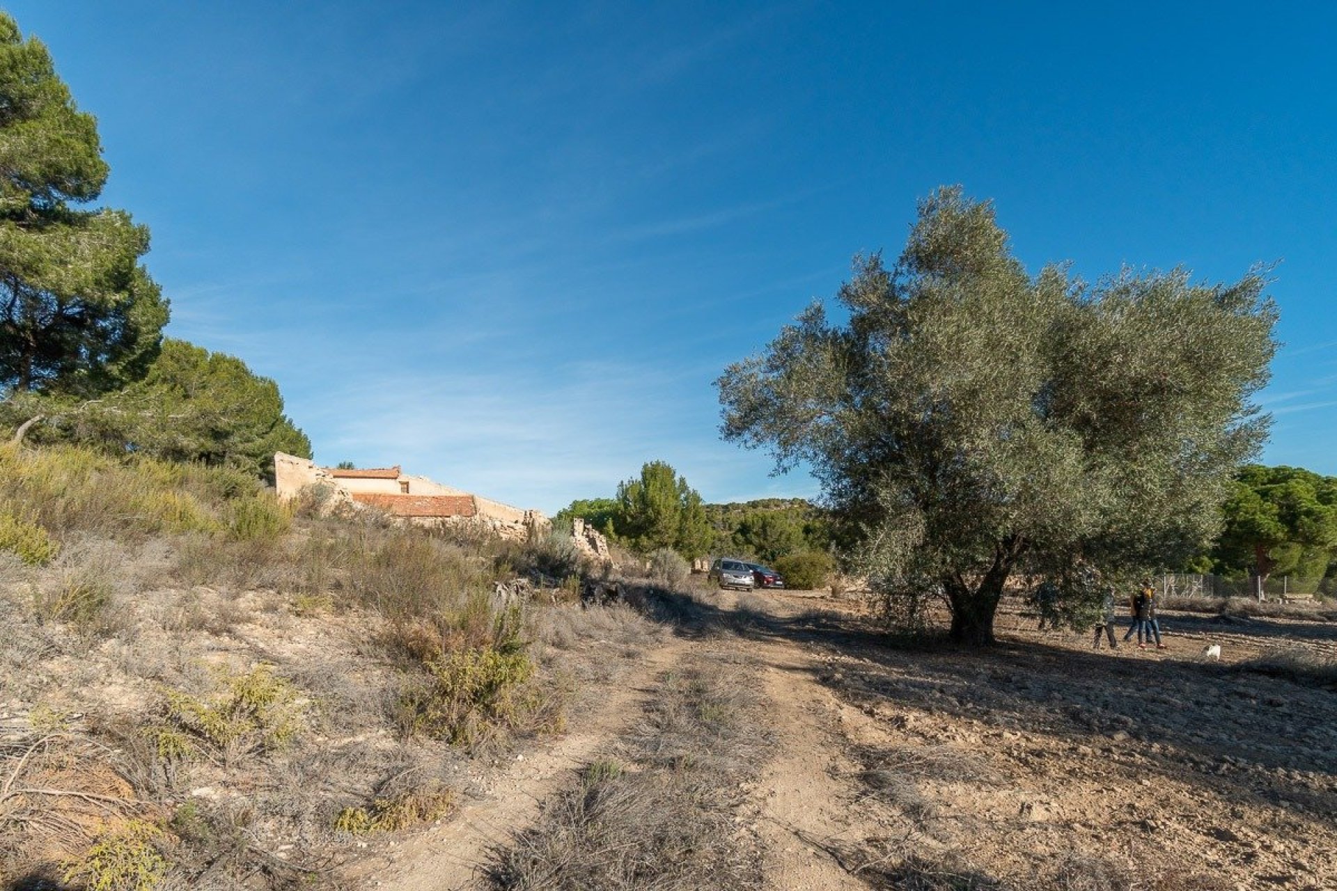 Resale - Casa con terreno - Pilar de la Horadada - Pinar de la Perdiz