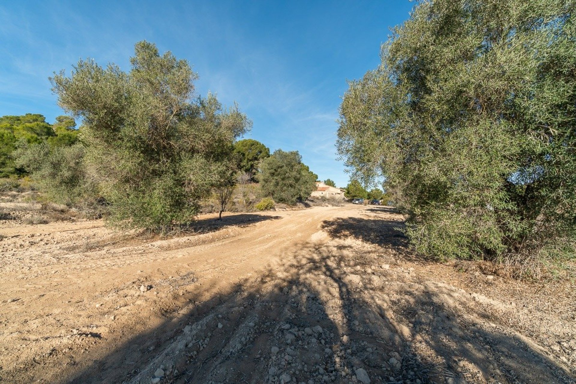 Resale - Casa con terreno - Pilar de la Horadada - Pinar de la Perdiz