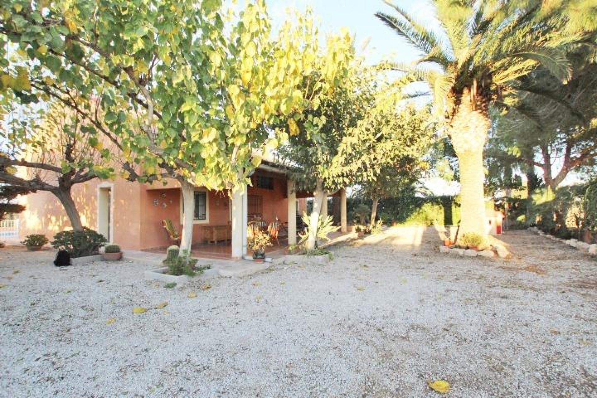 Resale - Casa de campo - Almoradí - Comunidad valenciana