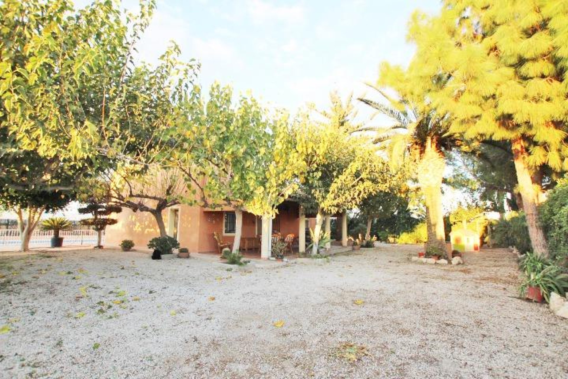 Resale - Casa de campo - Almoradí - Comunidad valenciana