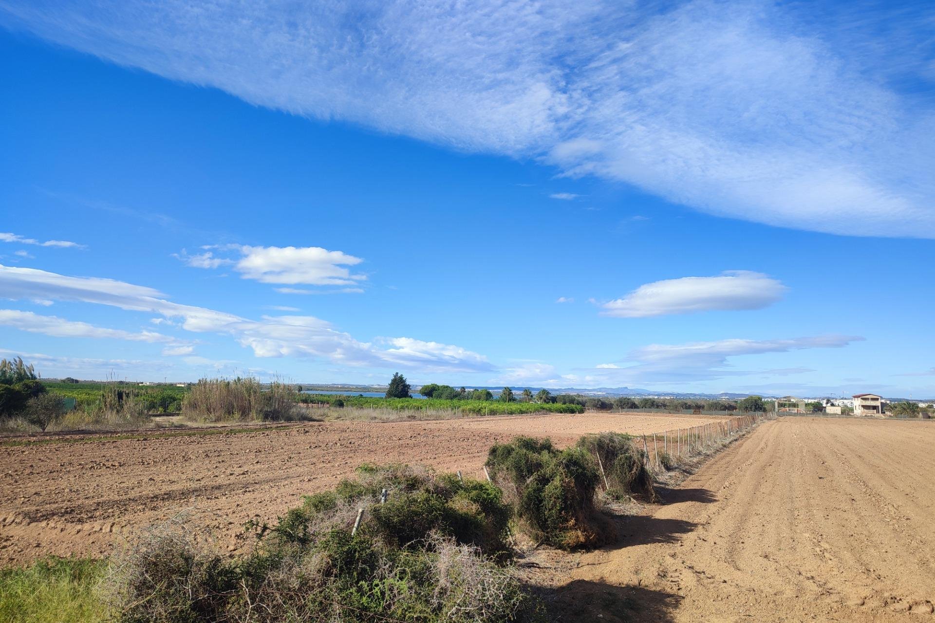 Resale - Casa - Guardamar del Segura - El moncayo