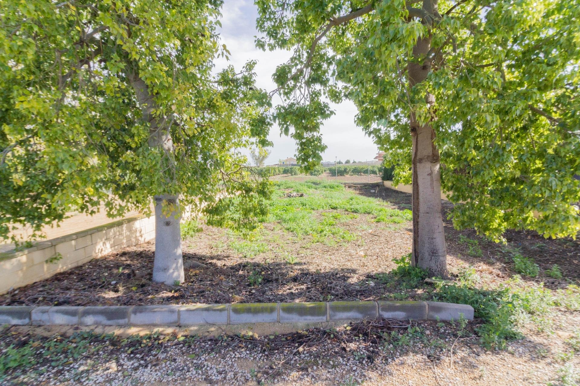 Resale - Casa - Orihuela - Desamparados-Hurchillo-Torremendo