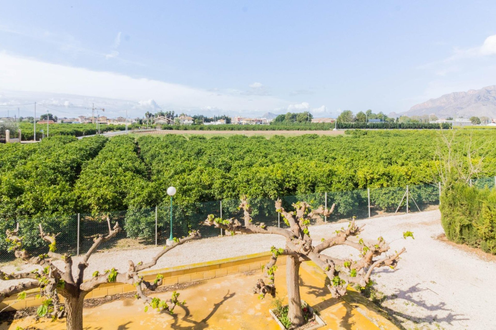 Resale - Casa - Orihuela - Desamparados-Hurchillo-Torremendo