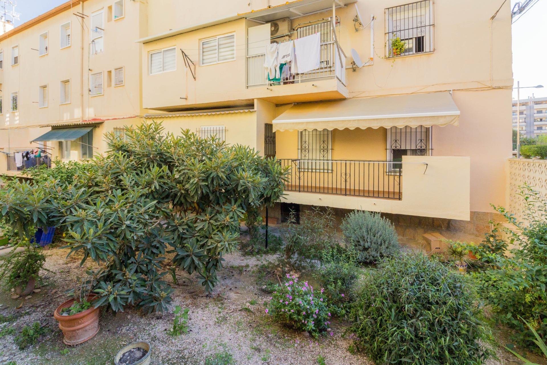 Resale - Casa - Orihuela - Zona Centro