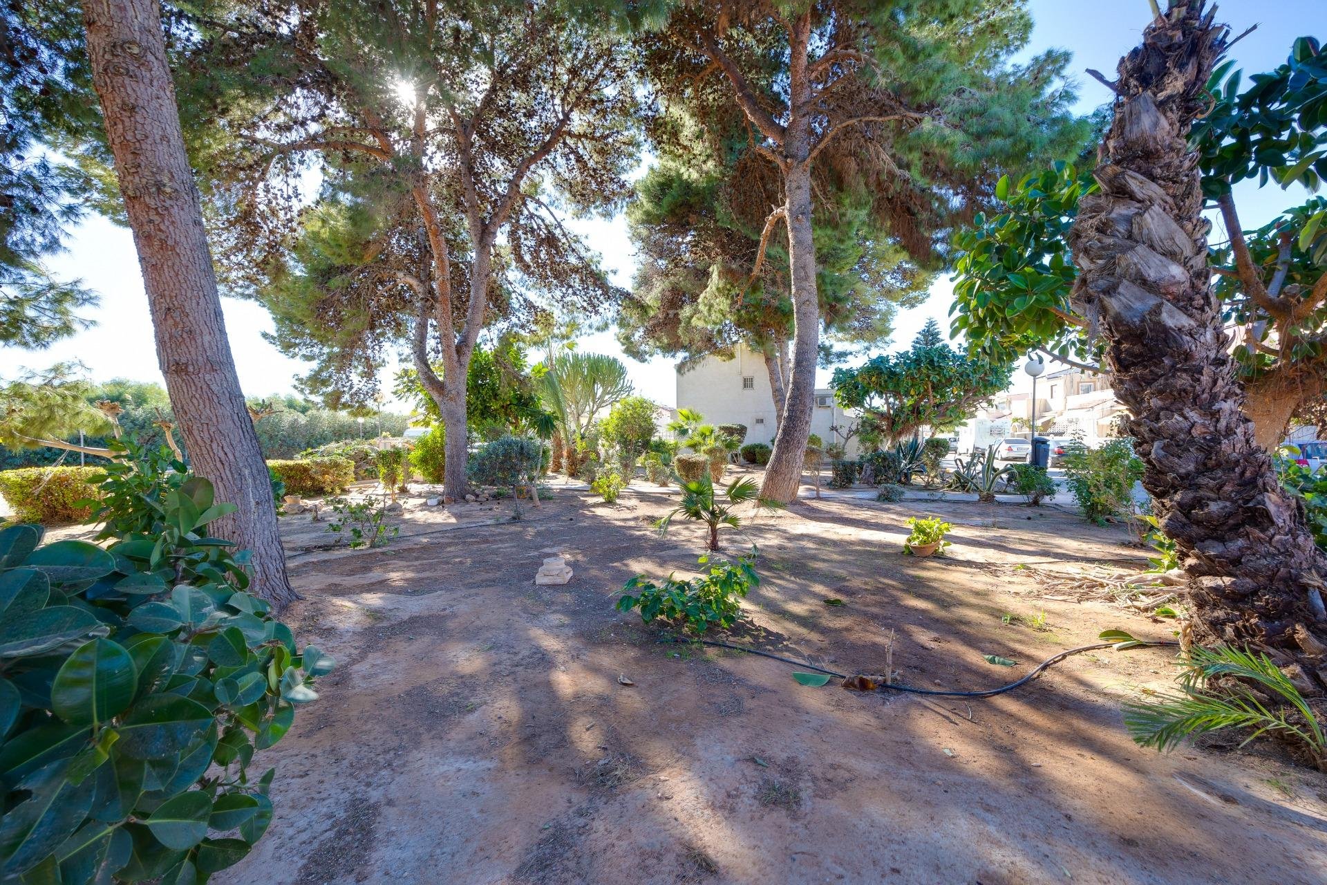 Resale - Casa Tipo Dúplex - Torrevieja - El limonar