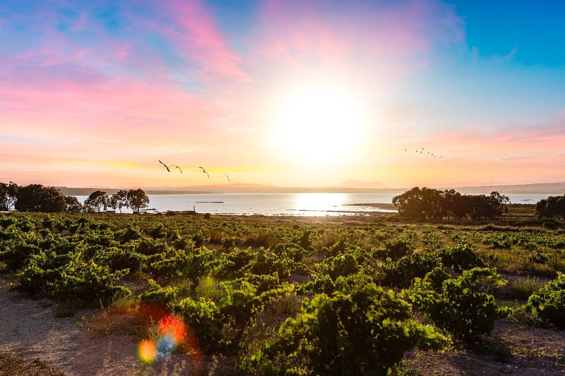 Resale - Casa Tipo Dúplex - Torrevieja - El limonar