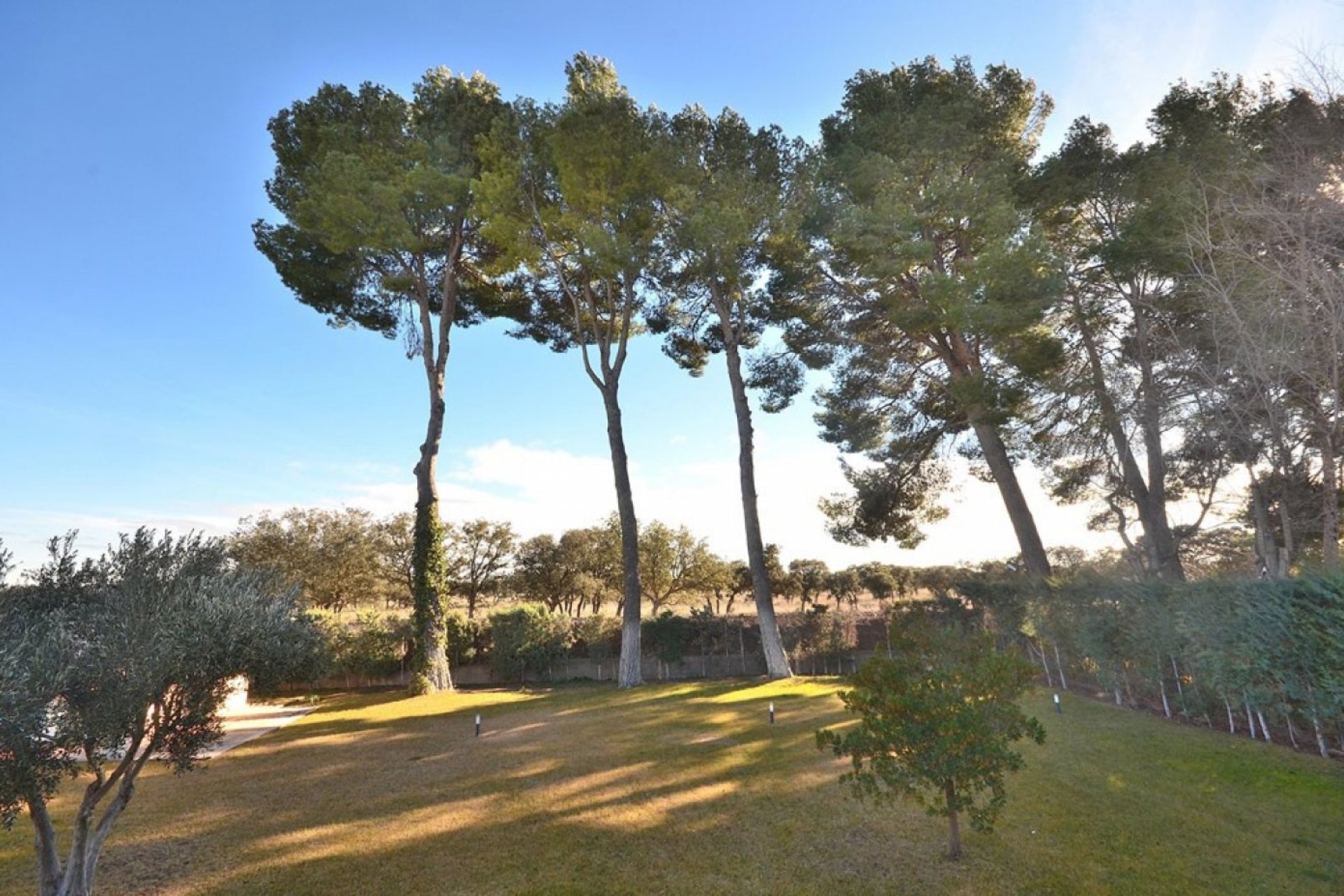 Resale - Chalet - Albacete - Agua sol