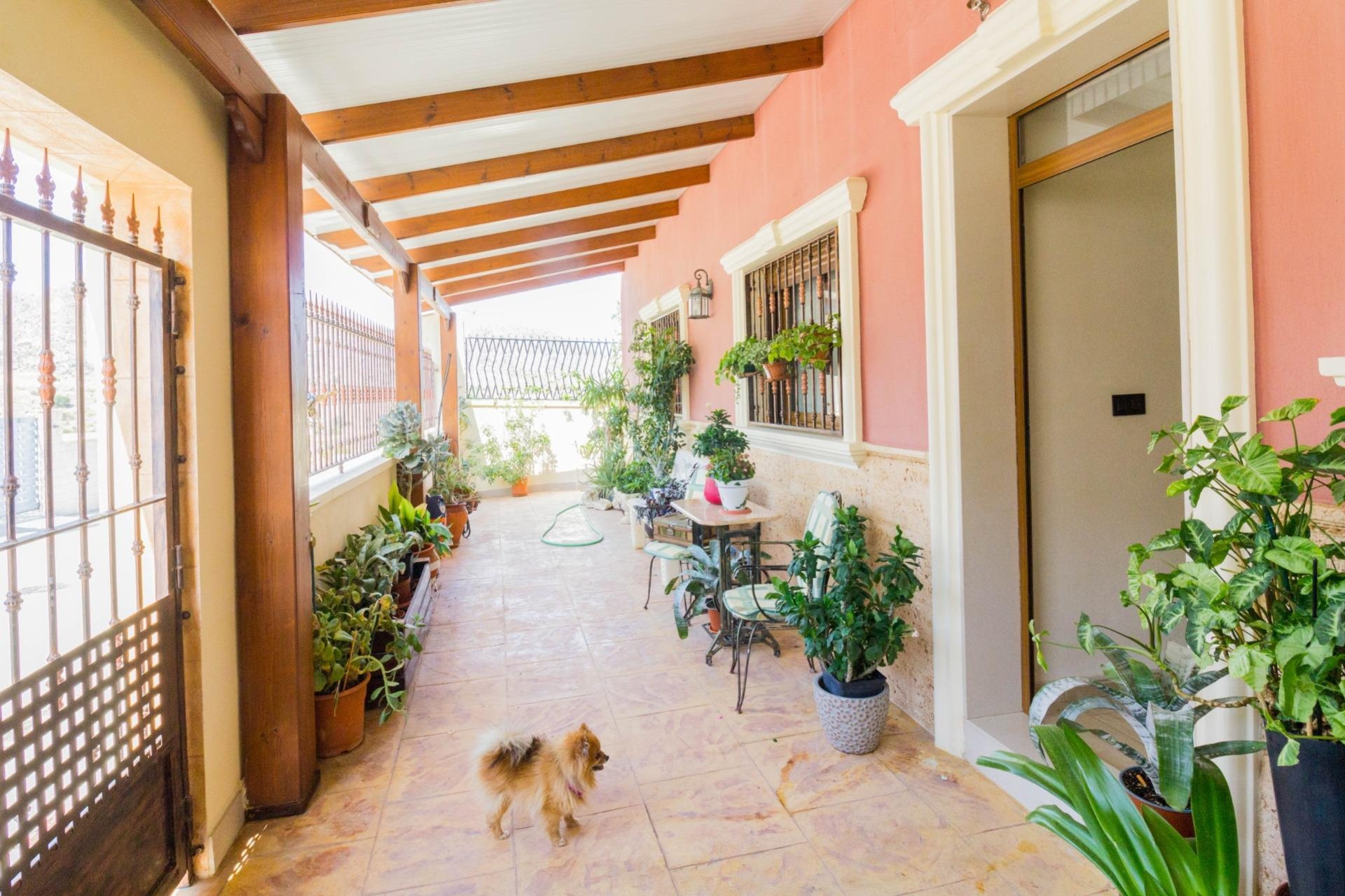 Resale - Chalet - Cox - Paraje Los Jaboneros