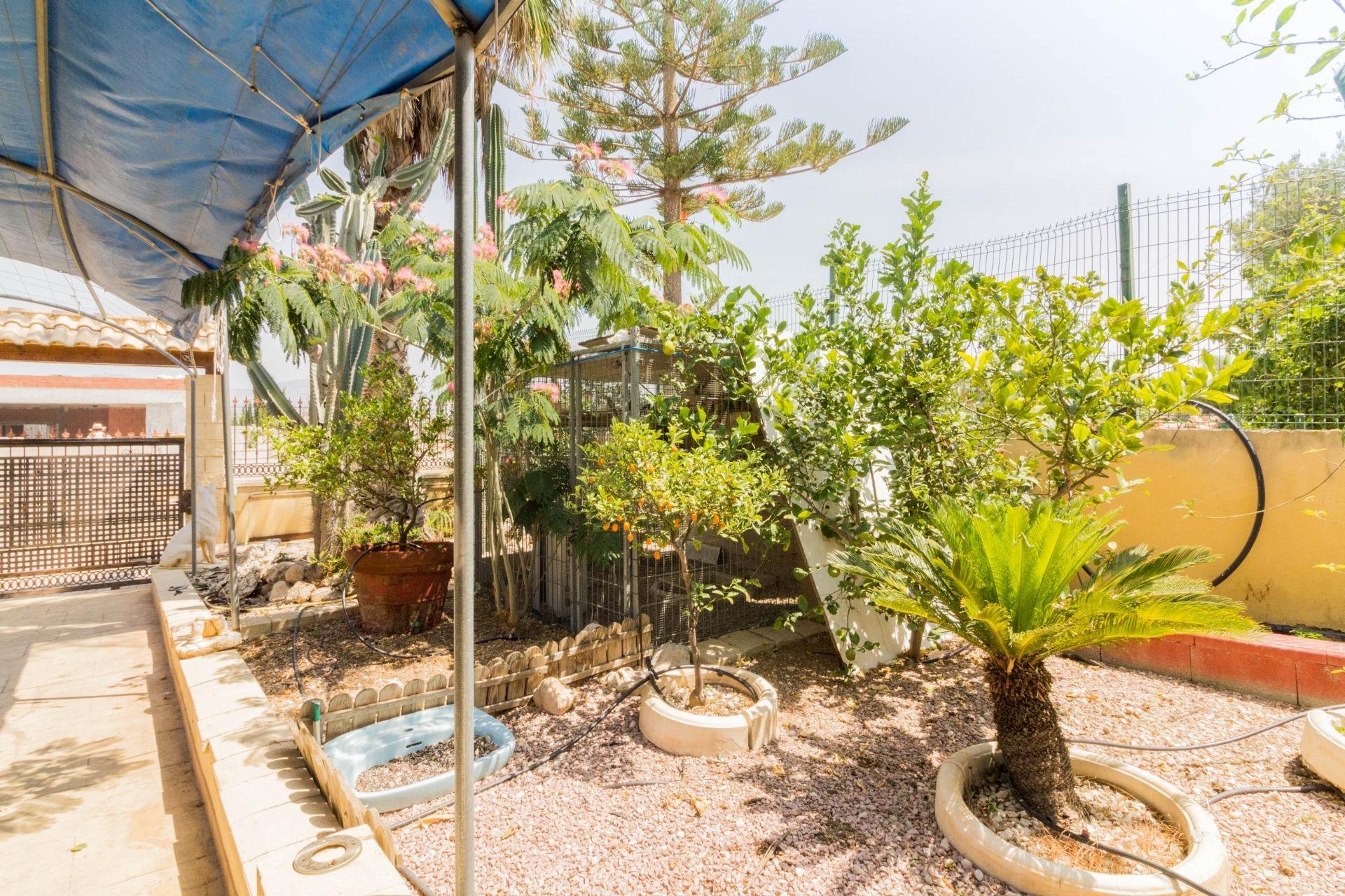 Resale - Chalet - Cox - Paraje Los Jaboneros