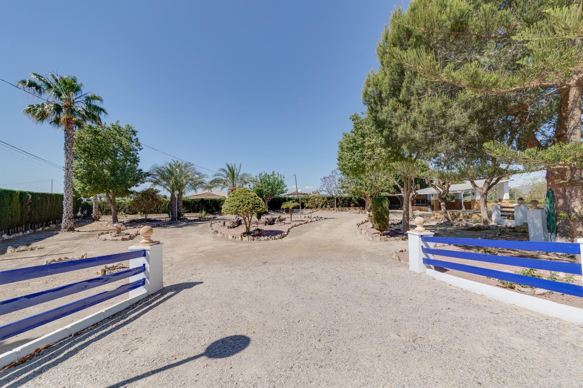 Resale - Chalet - Orihuela - Correntías Bajas