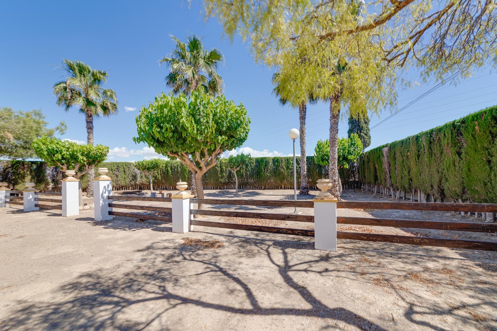 Resale - Chalet - Orihuela - Correntías Bajas