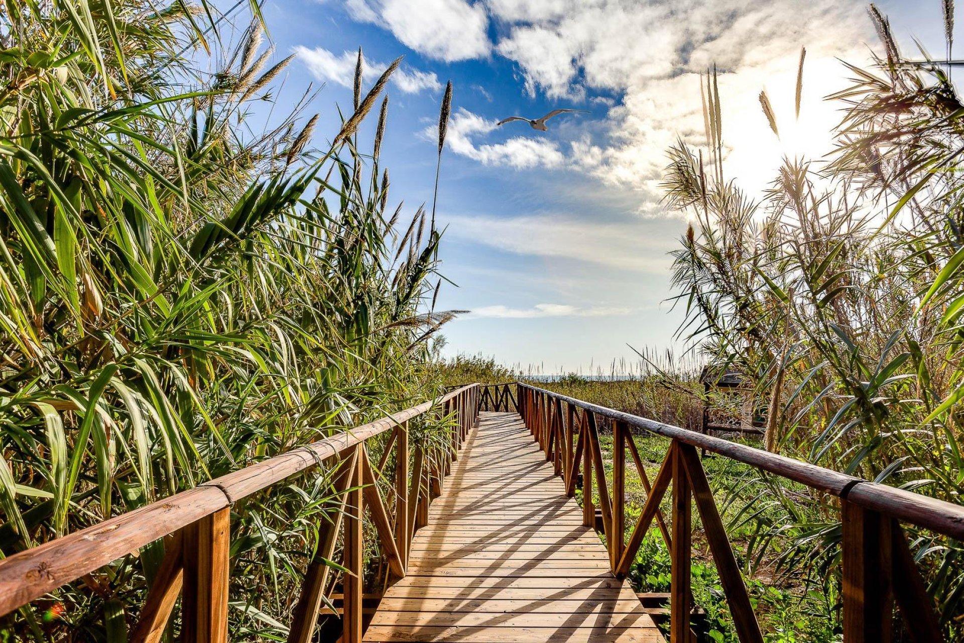 Resale - Chalet - San Fulgencio - La Marina