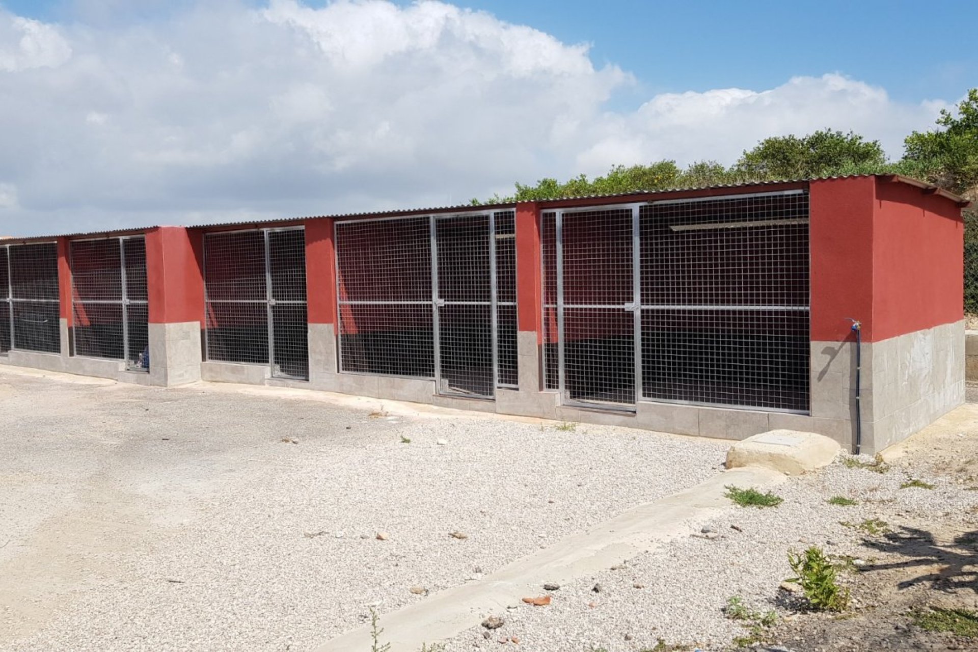 Resale - Finca rústica - Los Montesinos - LOS MONTESINOS